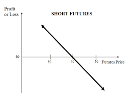 Short Futures Position The Options Futures Guide