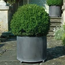 Garden Requisites Steel Planters