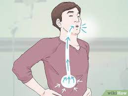 The diaphragm is an involuntary muscle that sits at the base of your lung cavity, and just above your abdomen. 4 Ways To Breathe Properly For Singing Wikihow