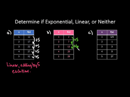 Exponential Functions Writing