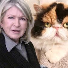 martha stewart s cat killed by her 4 dogs