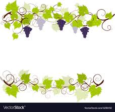 garden g vines frame royalty free