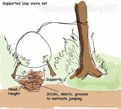 how to trap small game the basics