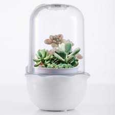 There are even grow lights designed like a reading lamp that can be easily arranged on any table or desk. China Smart Tabletop Succulents Planter Led Grow Light China Led Grow Light Plant Grow Light