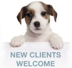 Owned and operated by a veterinary team with over 25 years experience practicing in north georgia, express vets is a new type of veterinary clinic. Online Forms In Mountain Brook Vestavia Hills Al Pet Vet Express