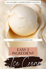 12 easy 2 ing ice cream recipes