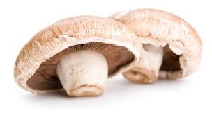 portobello mushroom health benefits