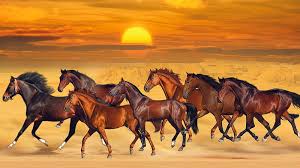 seven horses are running on sea sand