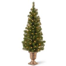 National Tree Company 4 Ft Montclair Spruce Entrance
