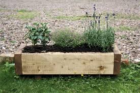 Buy Large Solid Wood Garden Planter