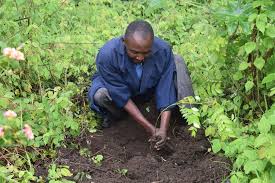 Tree Planting Champions In Tanzania