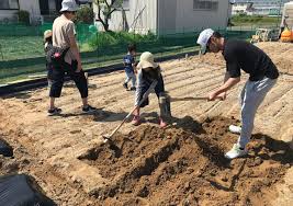 your very own allotment in tokyo tips