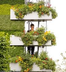 b q vertical garden goes sky high my