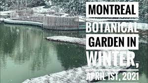 montreal botanical garden in winter
