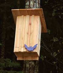 Build A Bat House Canadian Woodworking