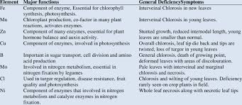 deficiency symptoms in plants