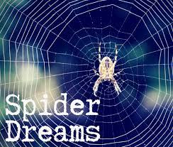 what do spiders mean in dreams exemplore