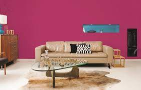 Hot Pink Paint Color Contemporary