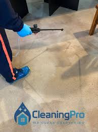 carpet cleaning auckland carpet spot