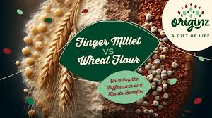 finger millet vs wheat flour