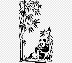 giant panda american black bear bamboo