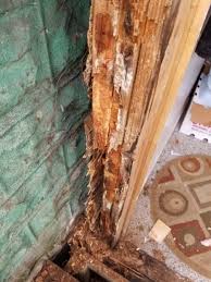 how to diagnose repair rotted framing