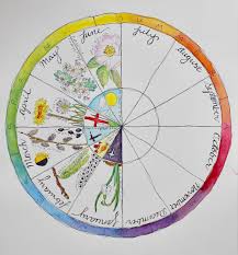 Phenology Wheel Example Thinking Of Doing A Large Wheel As