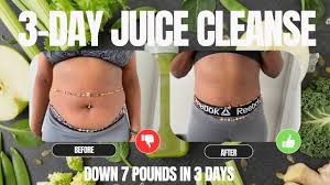 day juice cleanse for health