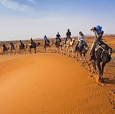 Book camel safari camp, merzouga on tripadvisor: Morocco Desert Tours The Best Sahara Desert Trip In Morocco With Prices