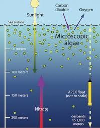 Scientists Discover Spikes Of Nutrients Fueling Mid Ocean