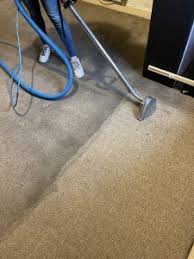 carpet cleaning hamilton carpet
