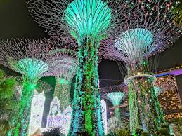 Top Attractions At Gardens By The Bay
