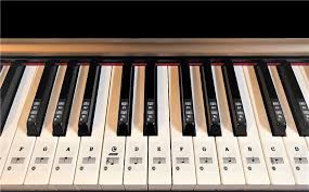 Beschrifte deine klaviatur, um leicht jetzt schnell und günstig online bestellen. Klavier Keyboard Piano Aufkleber C D E F G A H Fur 49 61 76 88 Taste