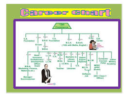 M Ed Guidance Counselling I Assignment Career Chart