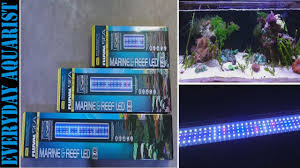 New Fluval Marine Reef 2 0 Led Light Review And Testing Youtube