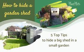 How To Hide An Ugly Garden Shed