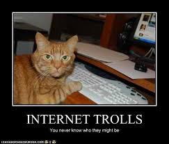 Image result for internet trolls