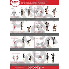 origin barbell exercise poster origin