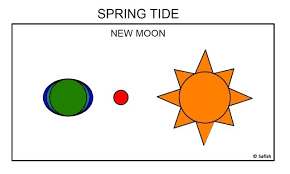 Tides Explained