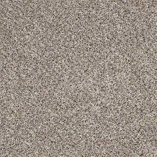 bx150 fossil carpet 00500 bx150