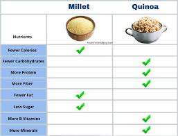 millet vs quinoa which is better a
