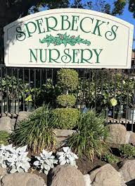 Garden Nursery In Yuba City Ca