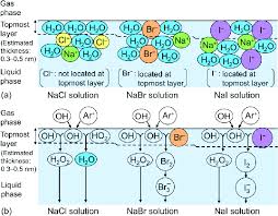 Sodium And Halide Ions