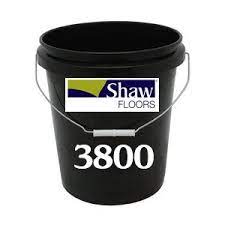 shaw 3800 adhesive indoor outdoor