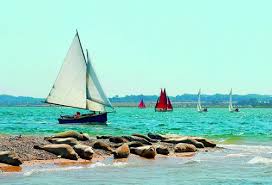 sailing wildlife 10 best british spots