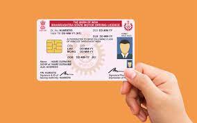 check driving licence application