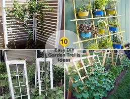 10 Easy Diy Garden Trellis Ideas Diy