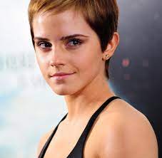 Sex-Roman: Emma Watson in Erotik-Film "Shades of Grey" dabei? - WELT