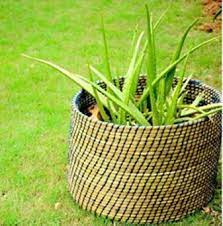 Sabai Grass Bags & Baskets - Posts | Facebook