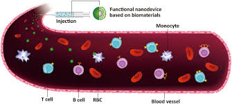 in vitro blood cell viability profiling